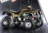 2010 Fokamo ATV 300 Tatanka photo